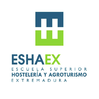 ESHAEX-01-01